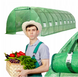 Теплиця садова VOLSO VS-08320, 8&times;3&times;2 м, 24 м&sup2;, армована плівка, оцинкований каркас, зелена VS 08320 фото 2